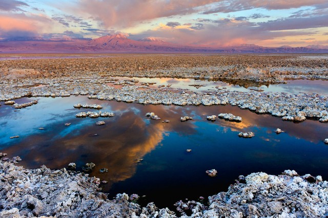 Folium: Sun to Keep Atacama Desert's Grapes Growing via Wikimedia Commons