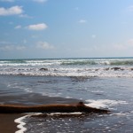 Terra: Playa Esterillos, Costa Rica