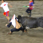 Terra: Bullfighting
