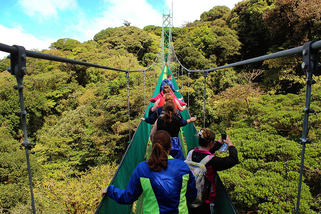 Aero: Meagan Hilsdorf - Costa Rica 2014 - Biodiversity