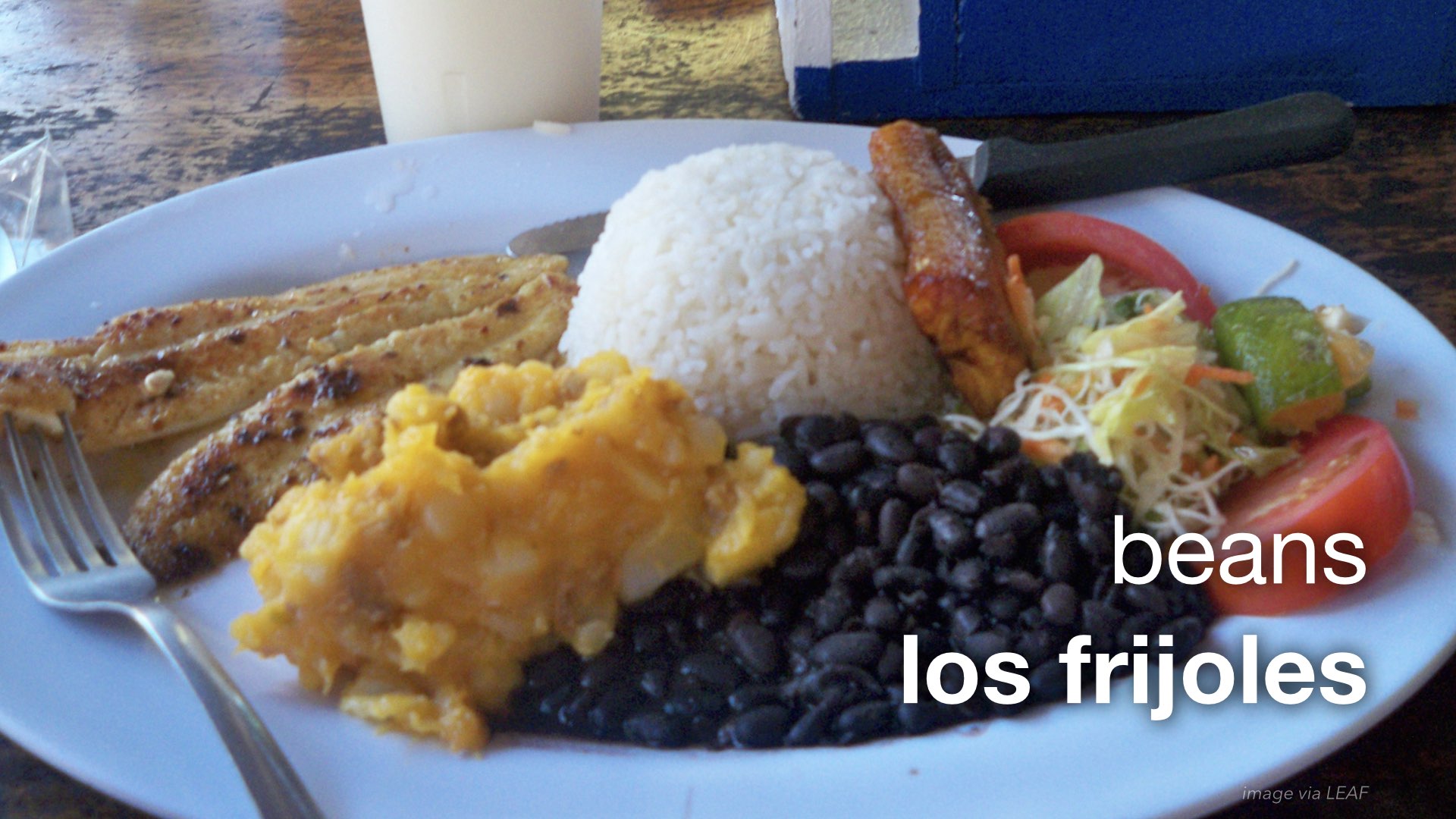 Spanish Vocabulary Food Lunch The LEAF Project