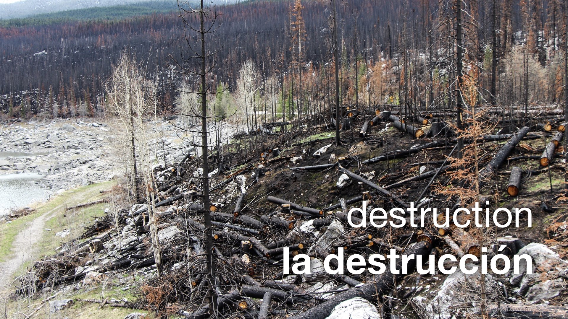 Spanish Vocabulary The Environment The LEAF Project