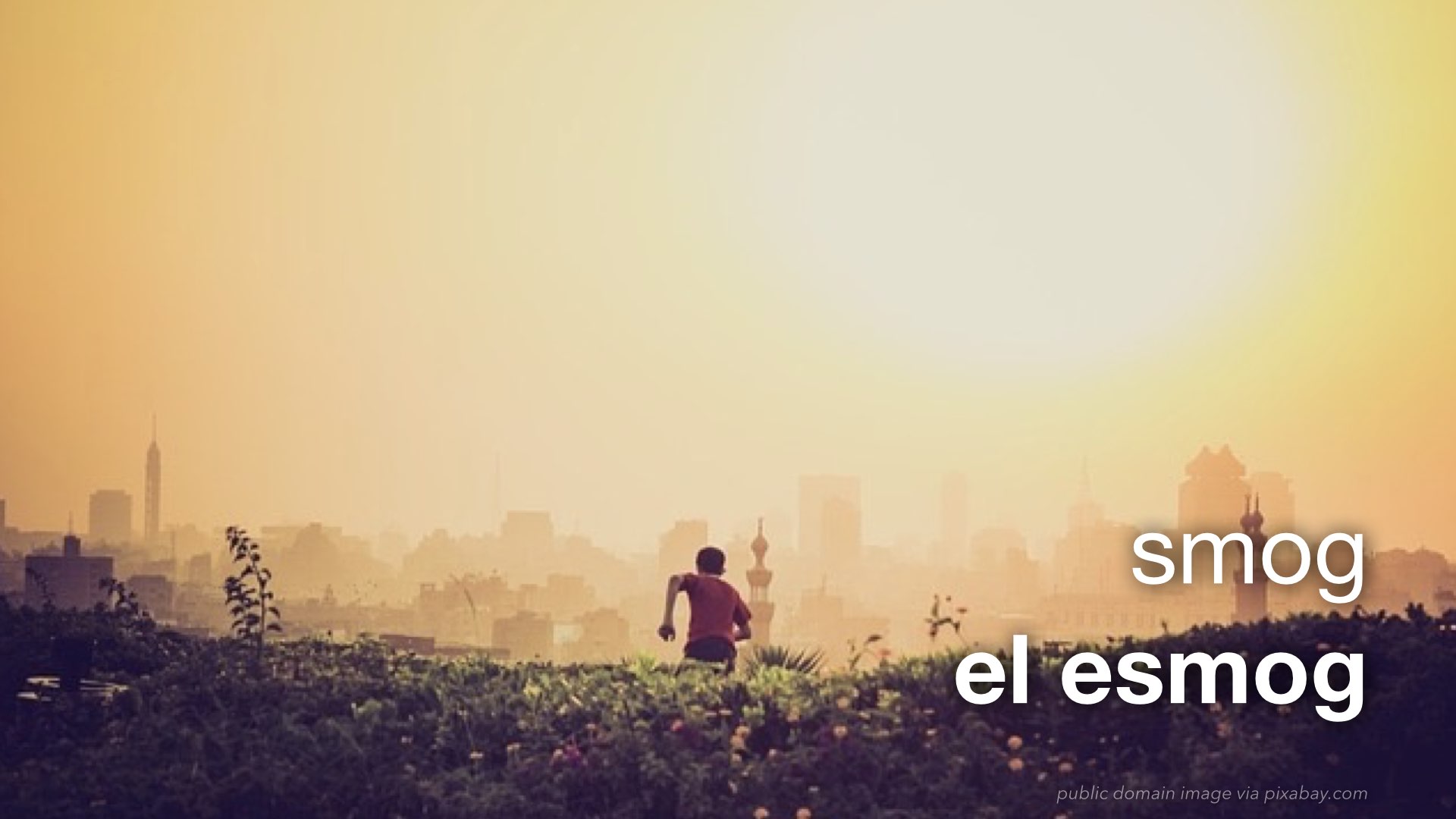 Spanish Vocabulary The Environment The LEAF Project