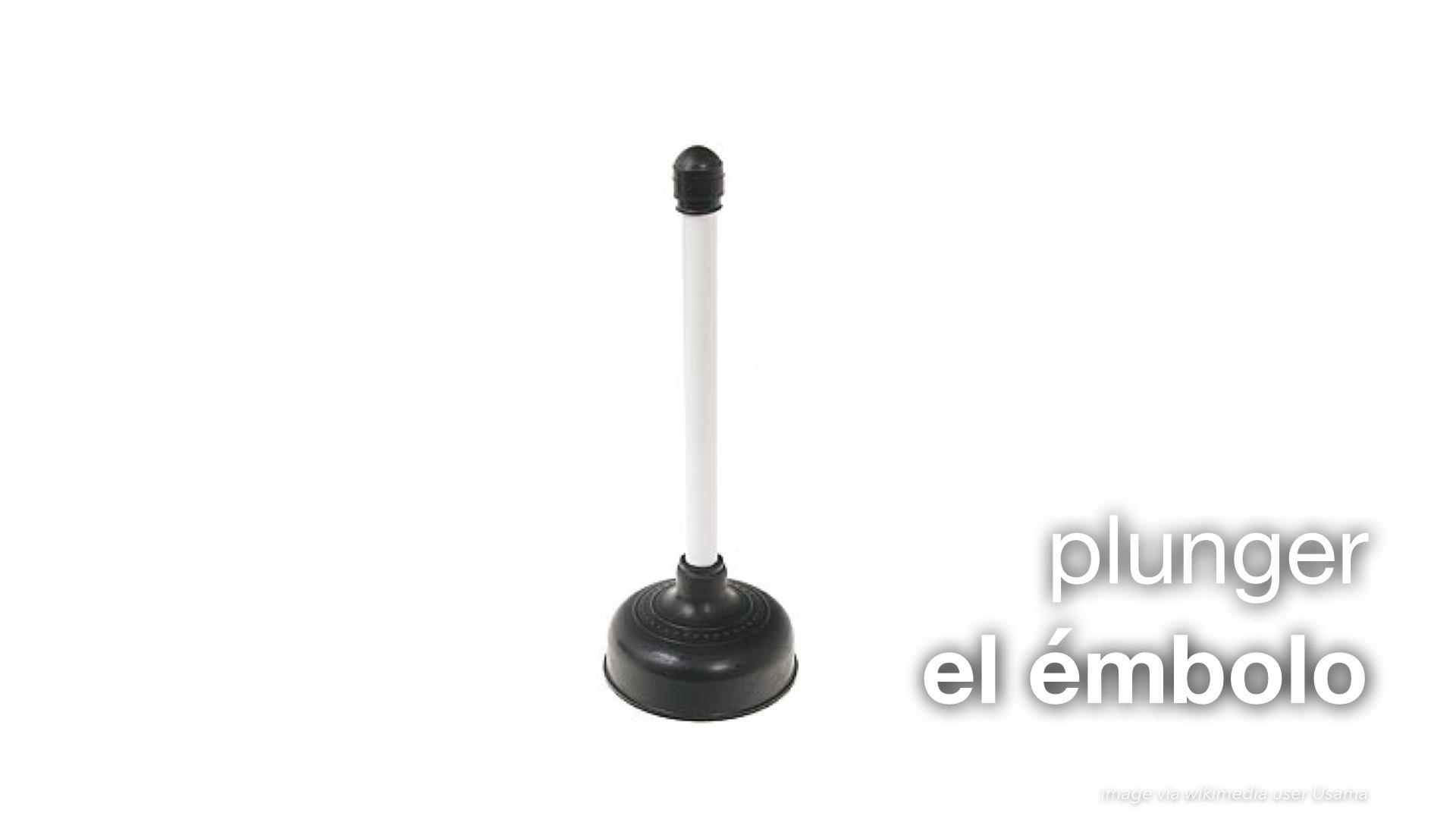 Spanish Vocabulary Bathroom The LEAF Project