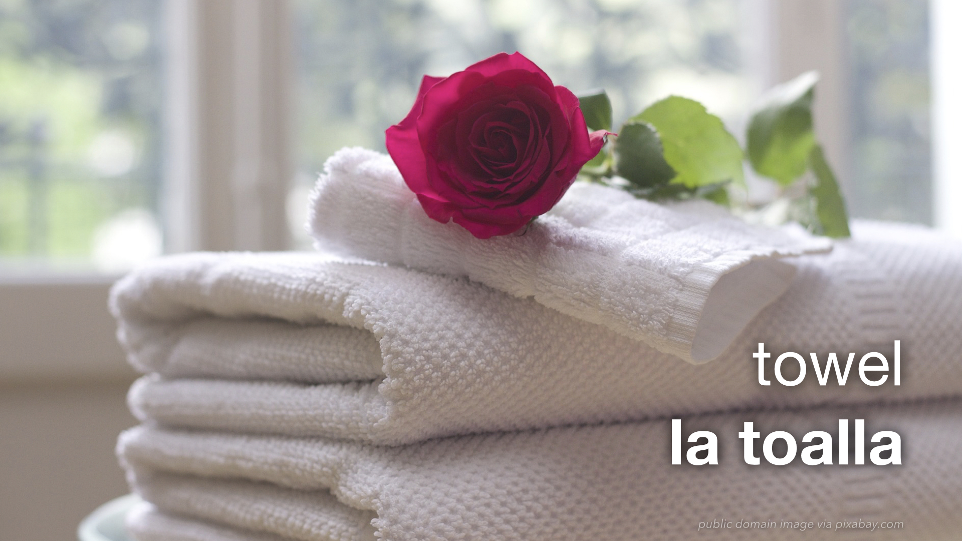 Spanish Vocabulary Hospitality Housekeeping The LEAF Project