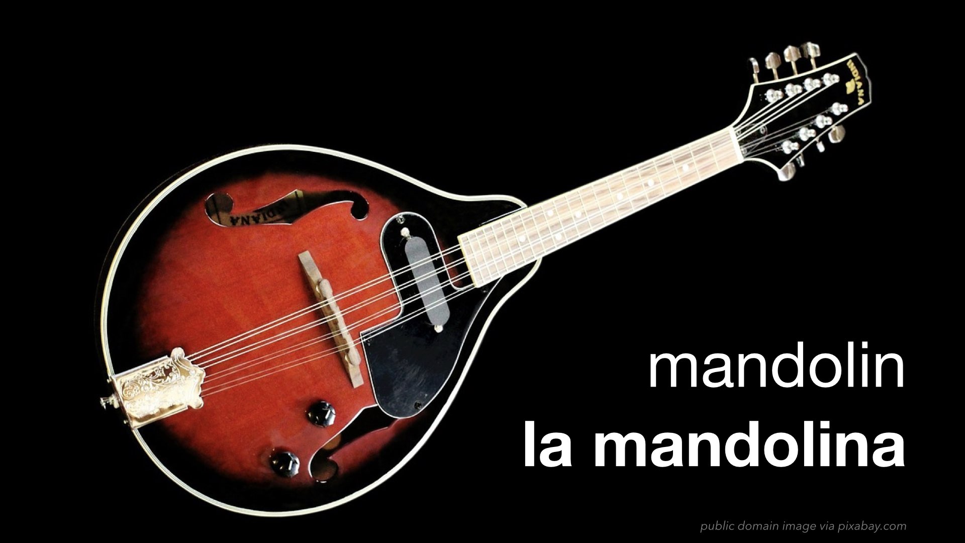 Spanish Vocabulary String Instruments The LEAF Project