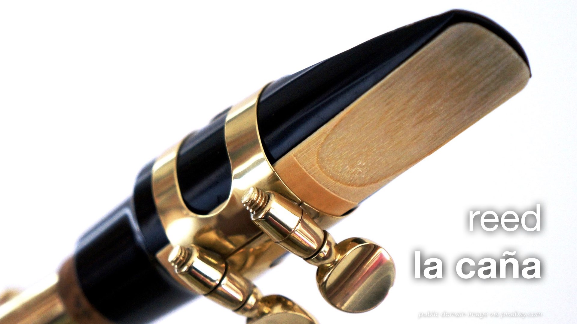 Spanish Vocabulary Wind Instruments The LEAF Project