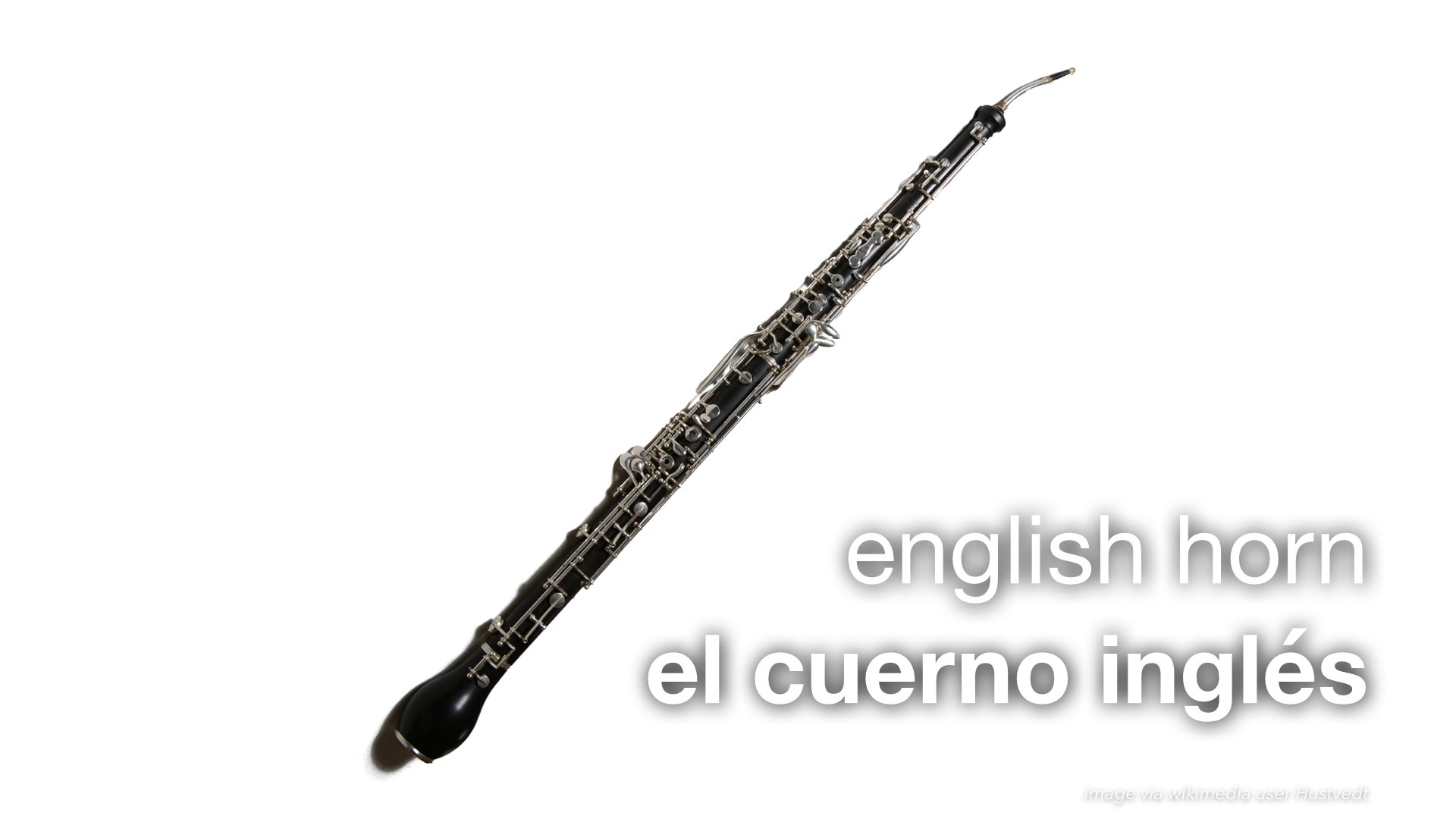 Spanish Vocabulary Wind Instruments The LEAF Project