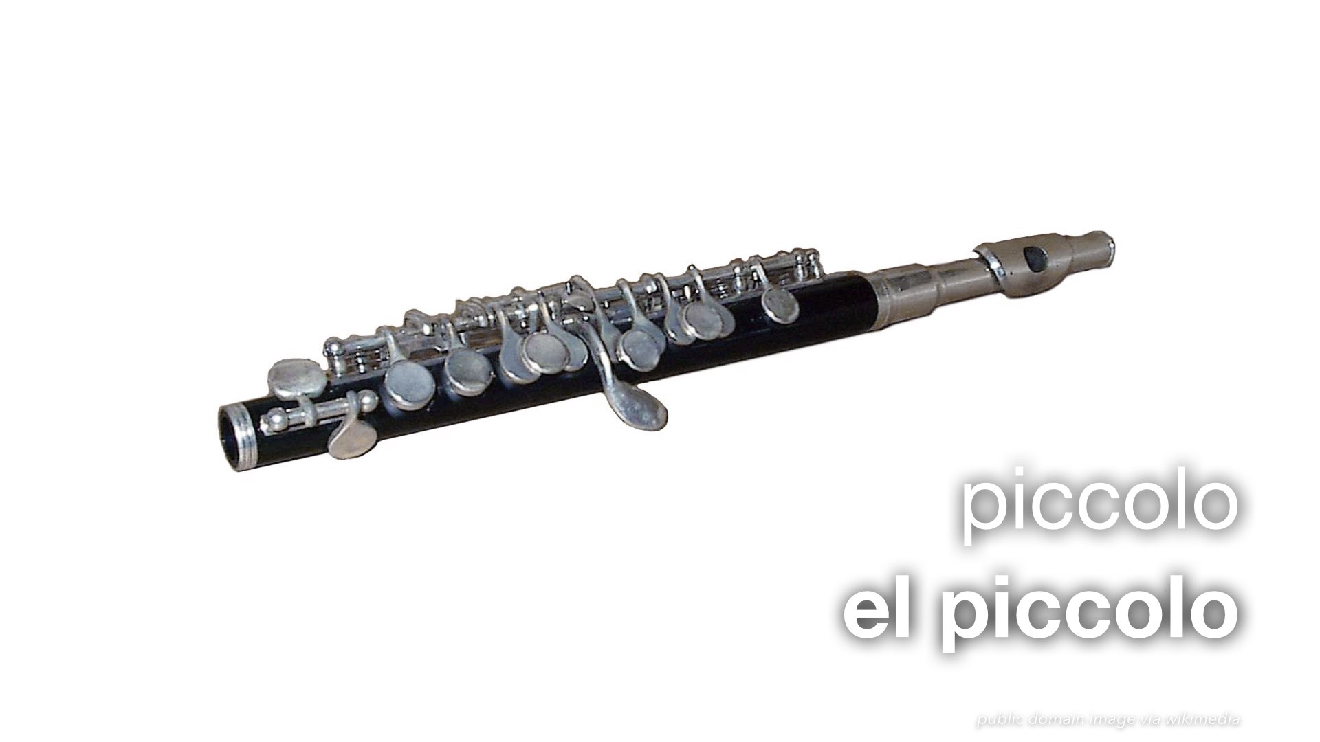 Spanish Vocabulary Wind Instruments The LEAF Project