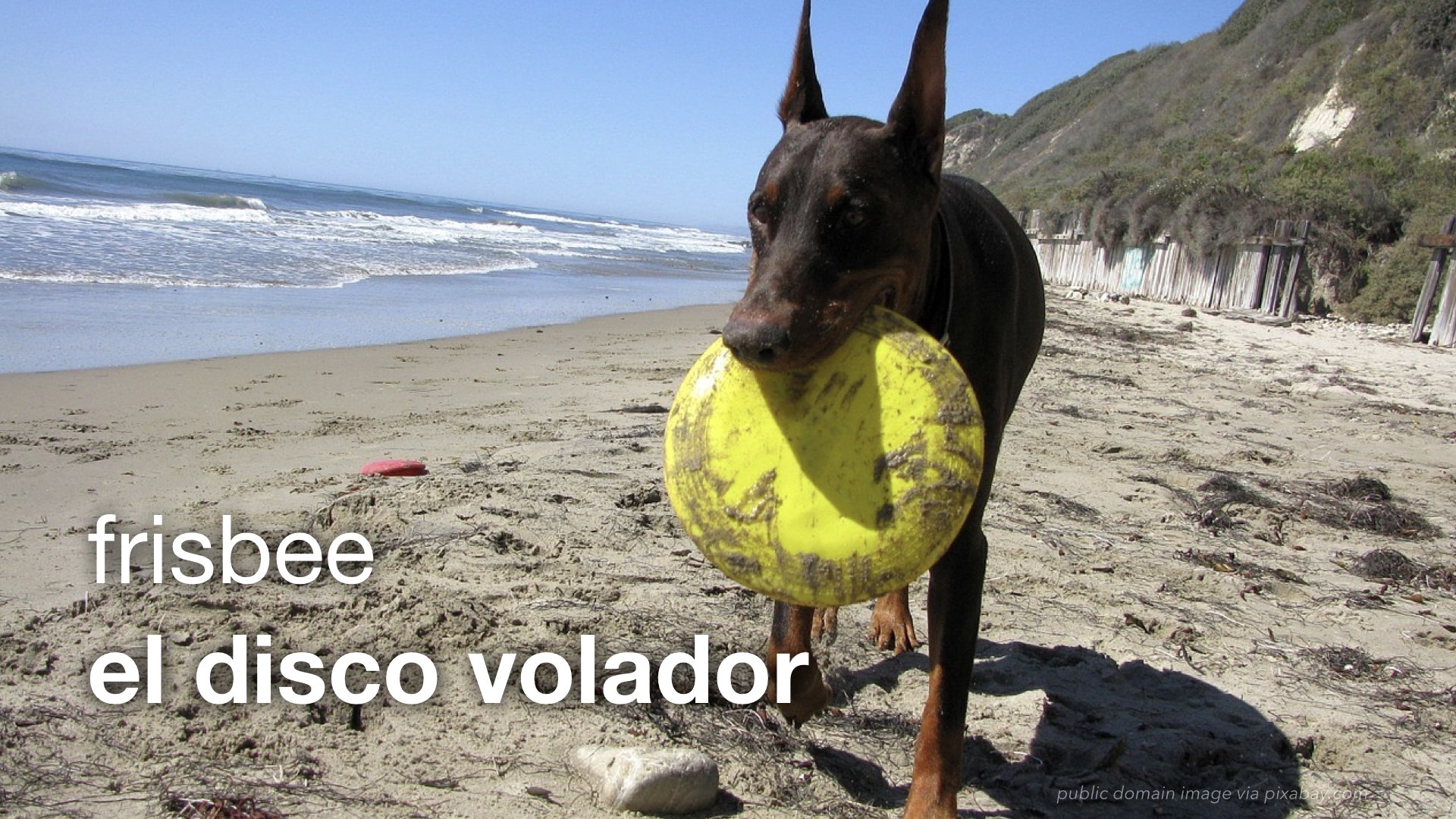 Spanish Vocabulary Camping and the Outdoors The LEAF Project