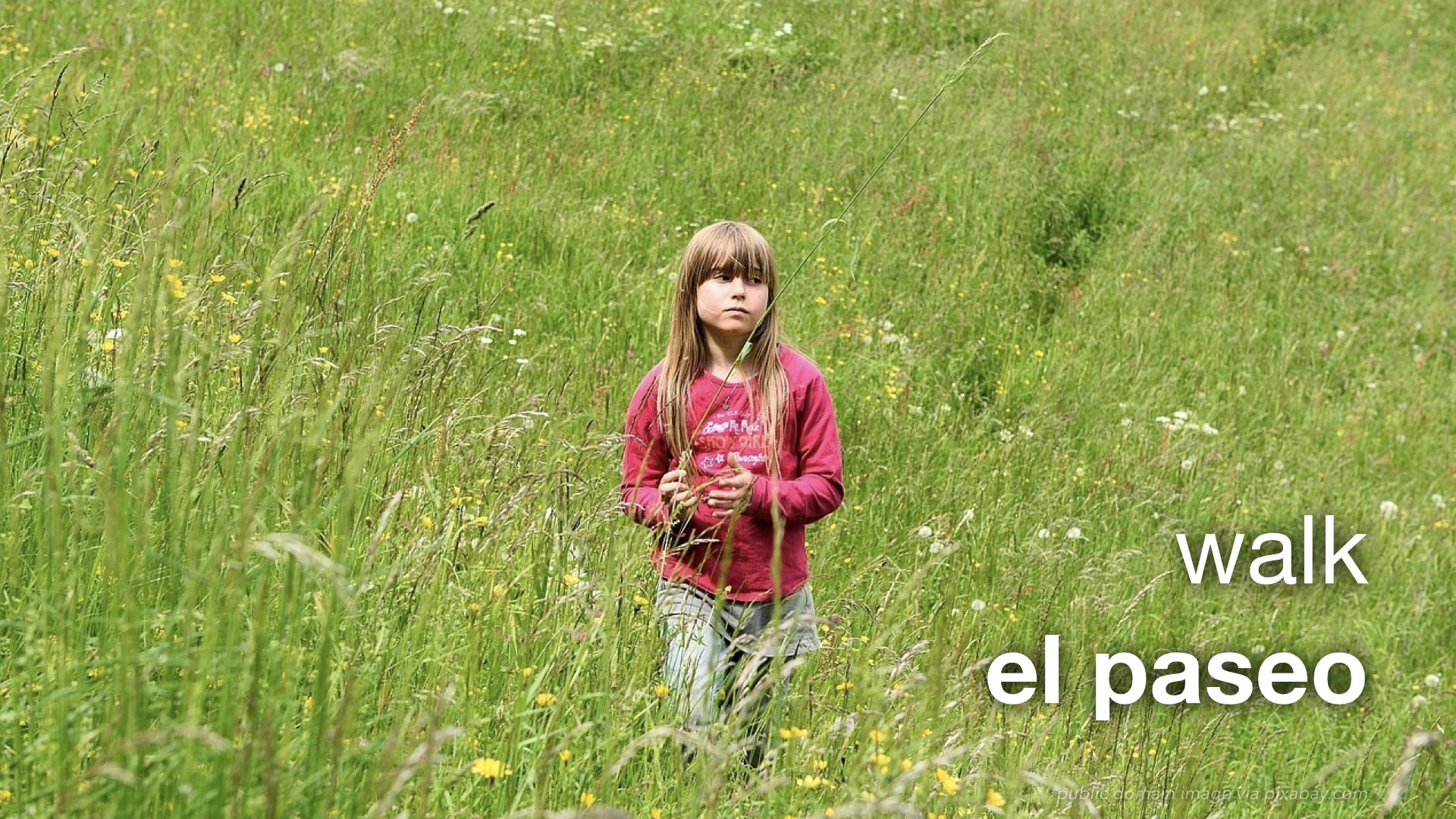 Spanish Vocabulary Camping and the Outdoors The LEAF Project