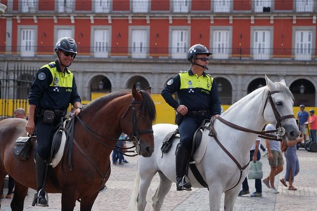Spanish Vocabulary: Law Enforcement - Professions and Titles