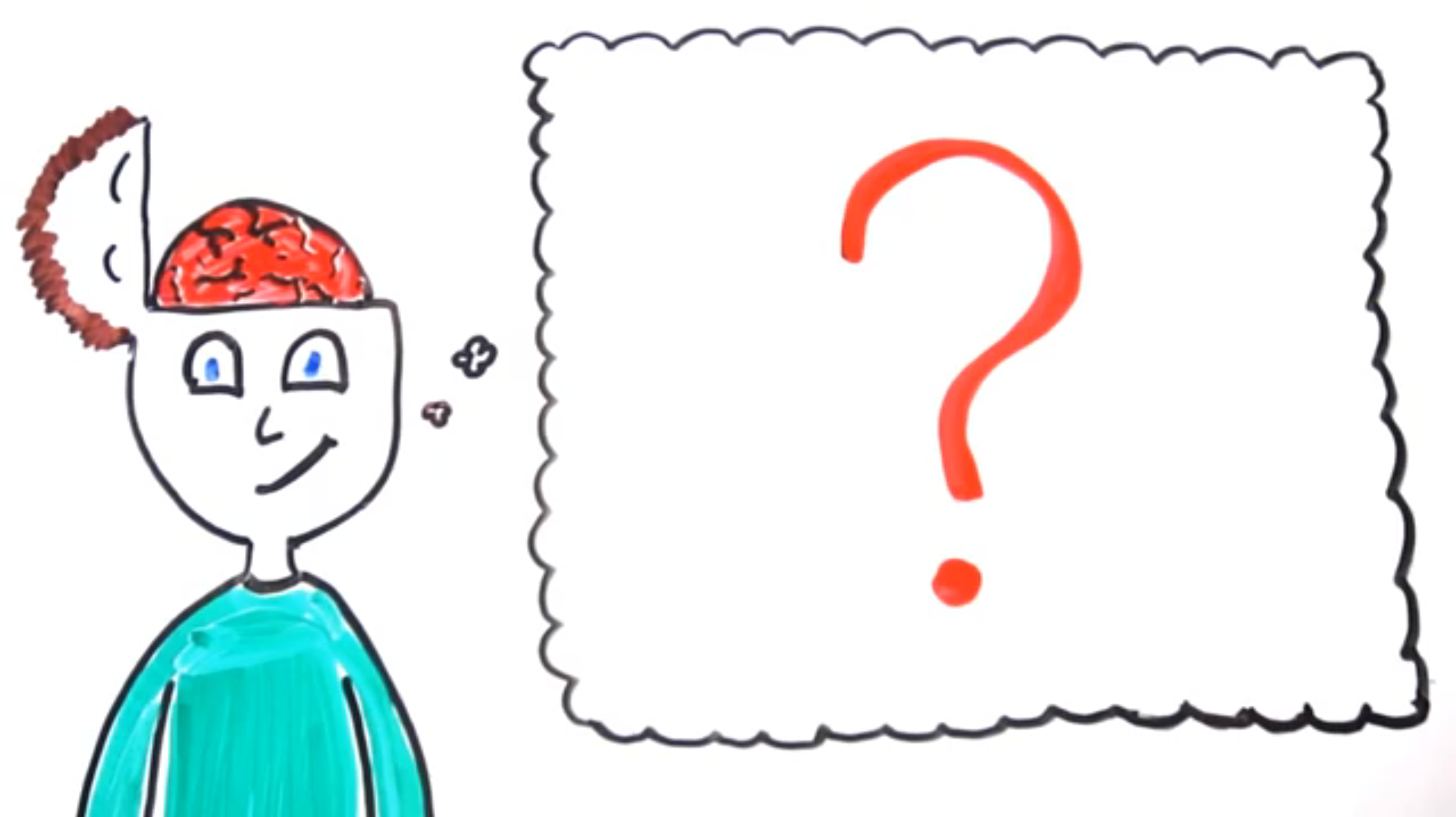 Folium How Thinking Changes The Shape of Your Brain via Gizmodo The