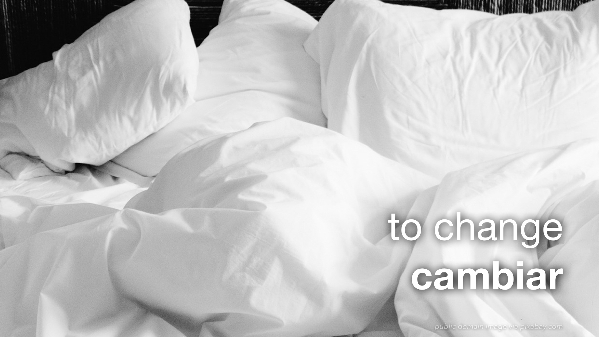 Spanish Vocabulary Hospitality Housekeeping The LEAF Project