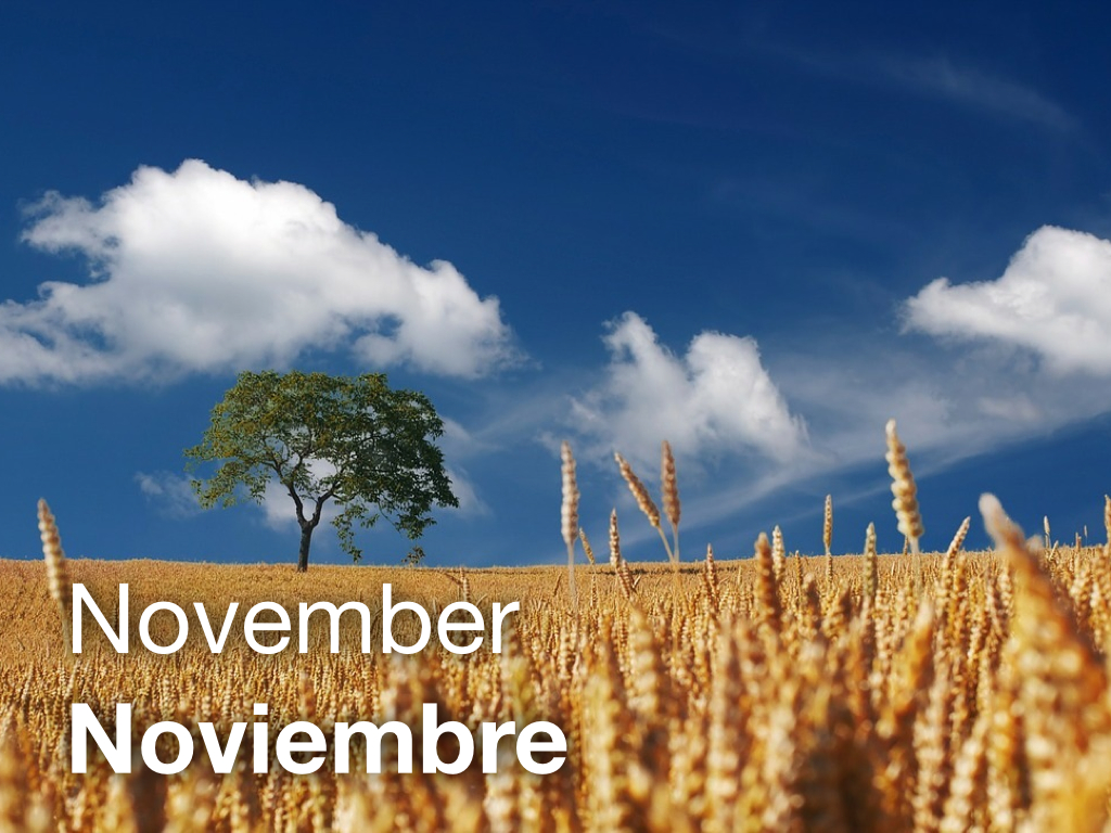 November In Spanish LEAF Spanish Photo Flashcards – November / Noviembre : The LEAF Project