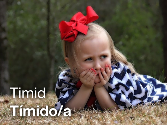 LEAF Spanish Photo Flashcards - Timid / Tímido