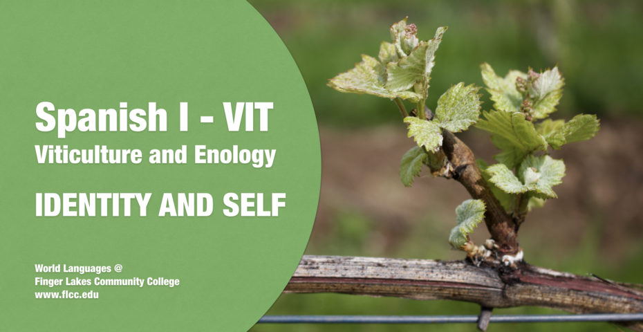 Spanish I - Viticulture and Enology - FLCC - Finger Lakes Community College
